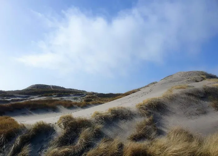 Bright Summerhouse Near Sea - By Traum Holiday home Ringkobing