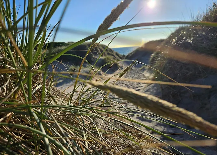 Bright Summerhouse Near Sea - By Traum Holiday home Ringkobing