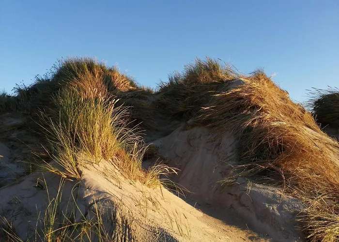 Holiday home Bright Summerhouse Near Sea - By Traum