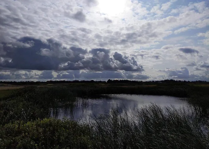 Holiday home Bright Summerhouse Near Sea - By Traum Ringkobing