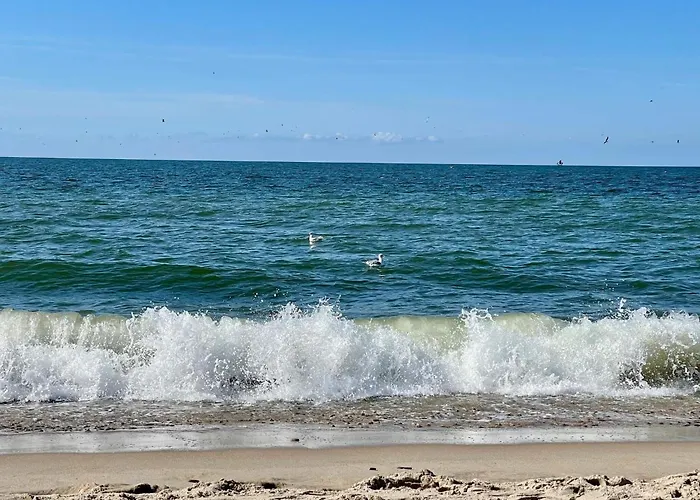 Bright Summerhouse Near Sea - By Traum *