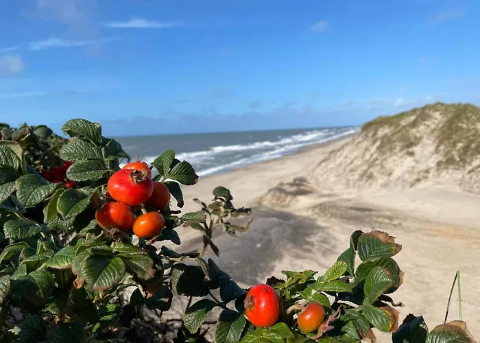Bright Summerhouse Near Sea - By Traum Holiday home Ringkobing