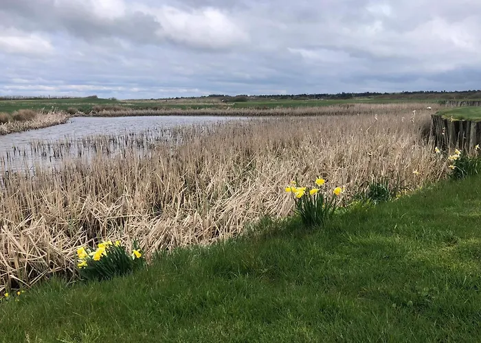 Bright Summerhouse Near Sea - By Traum Holiday home *